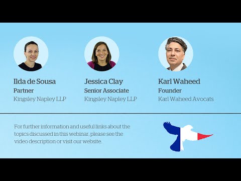 Flying visits? Challenges for UK lawyers working in the EU post Brexit – France