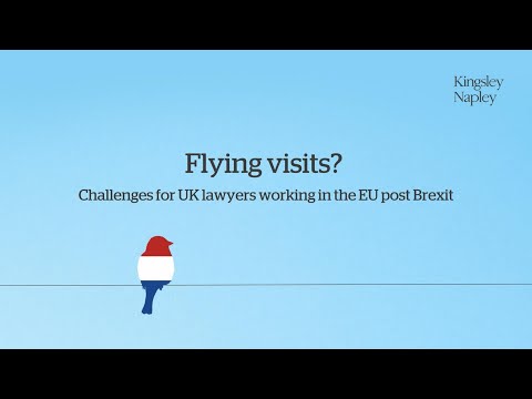 Flying visits? Challenges for UK lawyers working in the EU post Brexit – Netherlands