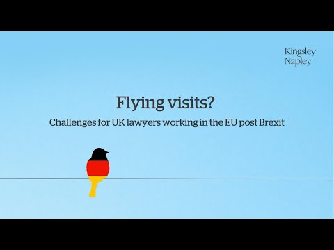 Flying visits? Challenges for UK lawyers working in the EU post Brexit – Germany