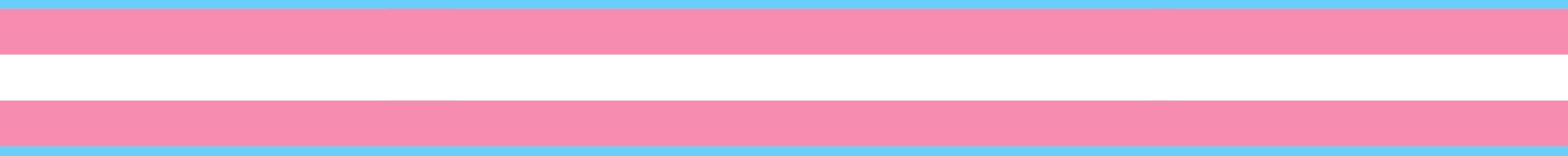 Transgender Day of Visibility